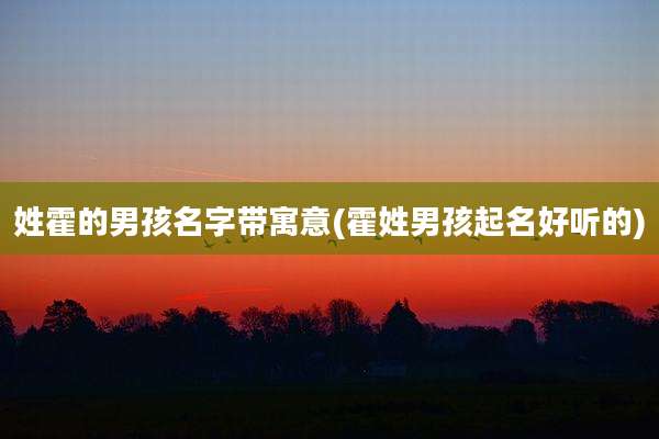 姓霍的男孩名字带寓意(霍姓男孩起名好听的)