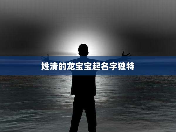 姓清的龙宝宝起名字独特