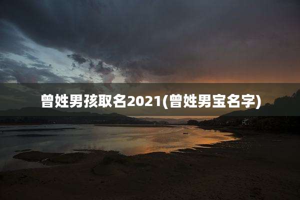 曾姓男孩取名2021(曾姓男宝名字)