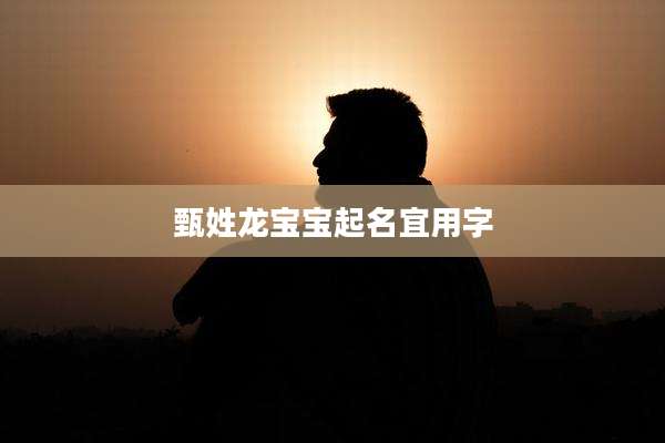 甄姓龙宝宝起名宜用字