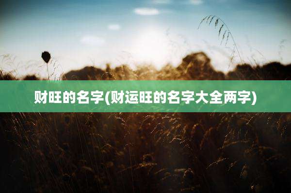 财旺的名字(财运旺的名字大全两字)