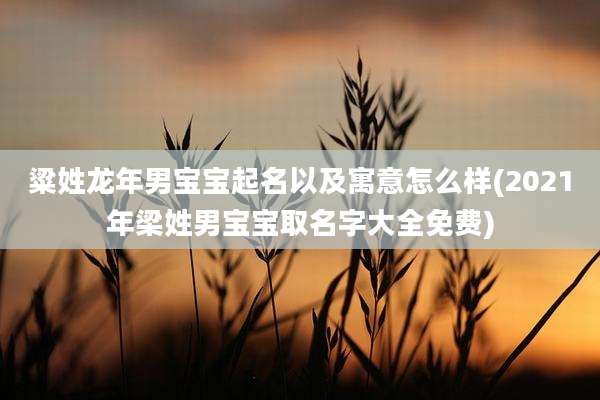 粱姓龙年男宝宝起名以及寓意怎么样(2021年梁姓男宝宝取名字大全免费)