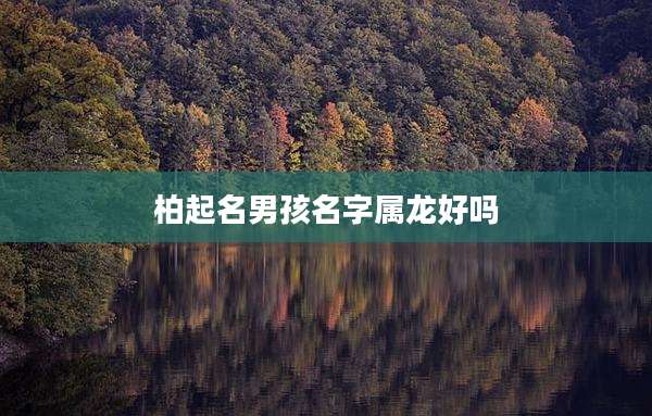 柏起名男孩名字属龙好吗