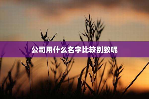 公司用什么名字比较别致呢