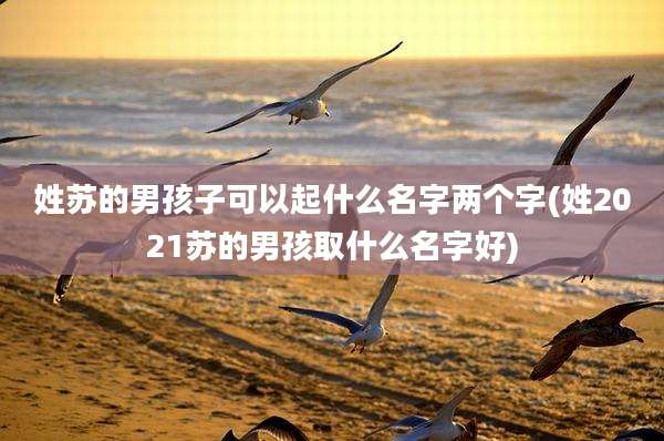 姓苏的男孩子可以起什么名字两个字(姓2021苏的男孩取什么名字好)