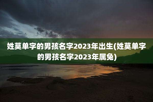 姓莫单字的男孩名字2023年出生(姓莫单字的男孩名字2023年属兔)