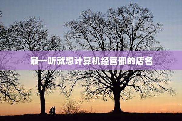 最一听就想计算机经营部的店名
