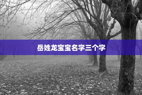 岳姓龙宝宝名字三个字