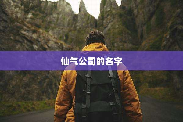 仙气公司的名字