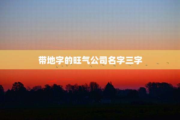 带地字的旺气公司名字三字