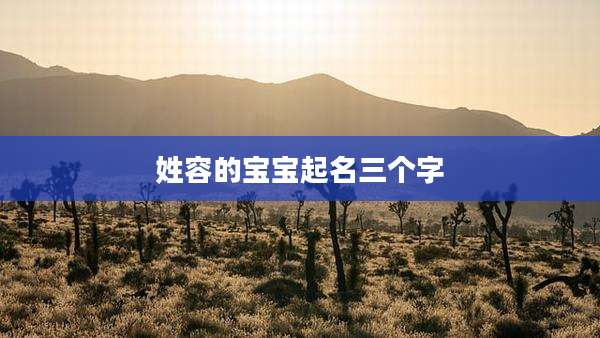 姓容的宝宝起名三个字