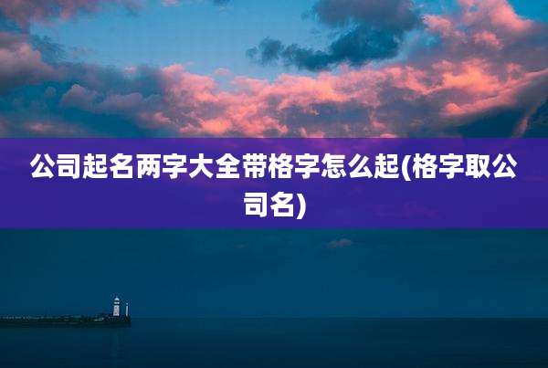 公司起名两字大全带格字怎么起(格字取公司名)
