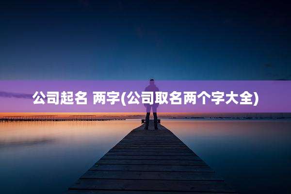 公司起名 两字(公司取名两个字大全)