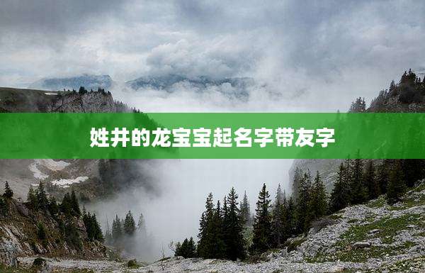 姓井的龙宝宝起名字带友字