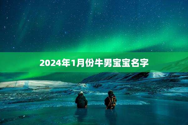 2024年1月份牛男宝宝名字