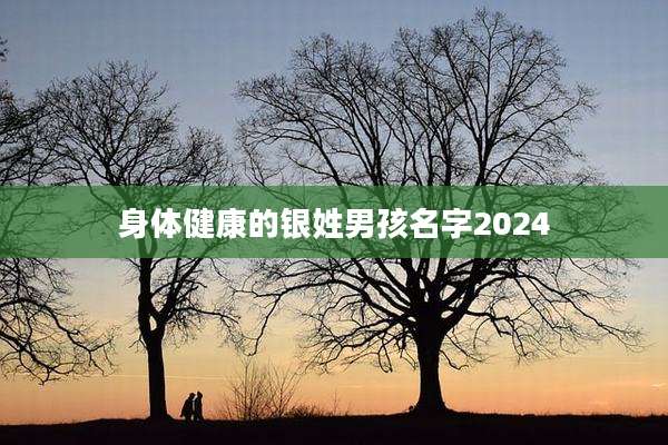 身体健康的银姓男孩名字2024