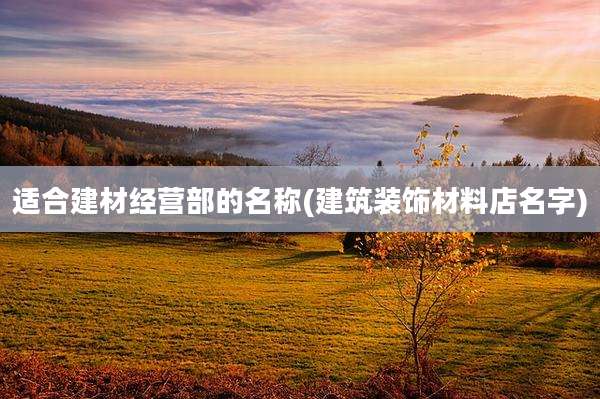 适合建材经营部的名称(建筑装饰材料店名字)