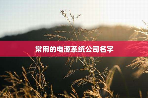 常用的电源系统公司名字