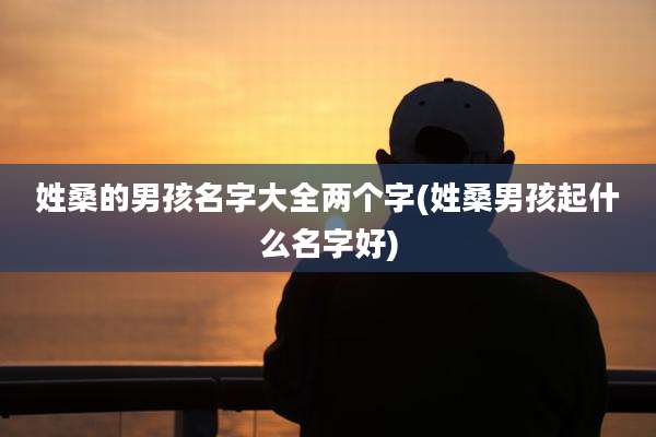 姓桑的男孩名字大全两个字(姓桑男孩起什么名字好)