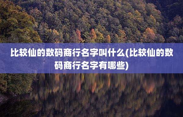 比较仙的数码商行名字叫什么(比较仙的数码商行名字有哪些)