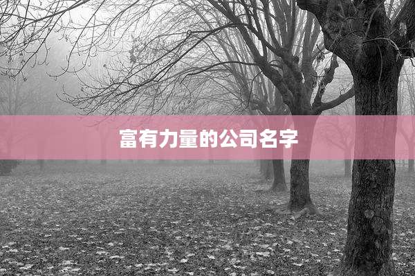 富有力量的公司名字