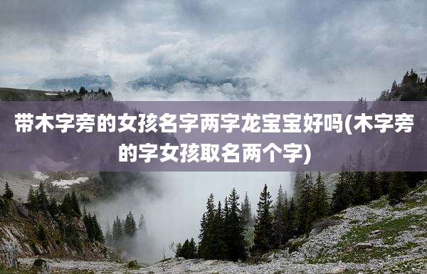 带木字旁的女孩名字两字龙宝宝好吗(木字旁的字女孩取名两个字)