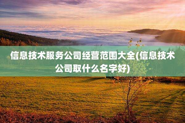 信息技术服务公司经营范围大全(信息技术公司取什么名字好)