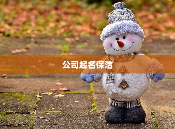 公司起名保洁