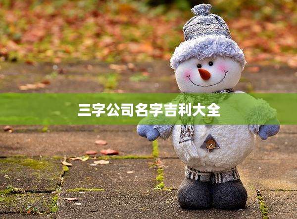 三字公司名字吉利大全