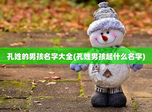 孔姓的男孩名字大全(孔姓男孩起什么名字)