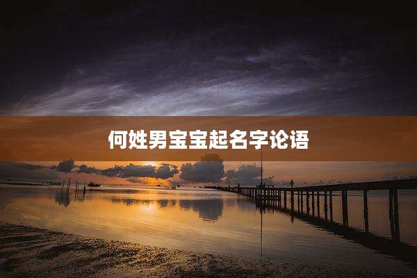 何姓男宝宝起名字论语