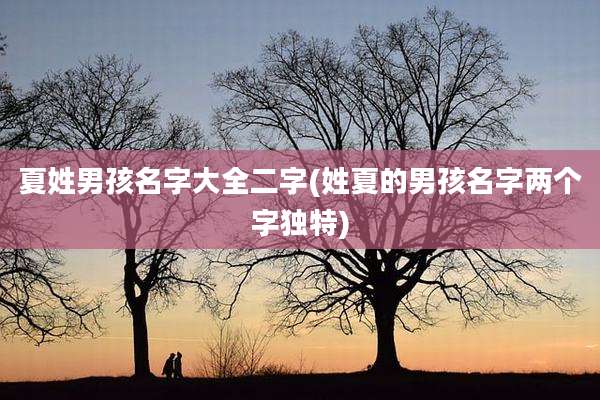 夏姓男孩名字大全二字(姓夏的男孩名字两个字独特)