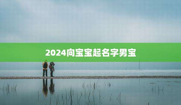 2024向宝宝起名字男宝