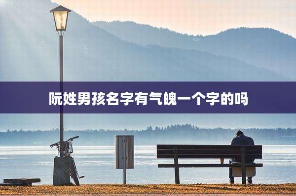 阮姓男孩名字有气魄一个字的吗