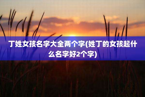 丁姓女孩名字大全两个字(姓丁的女孩起什么名字好2个字)