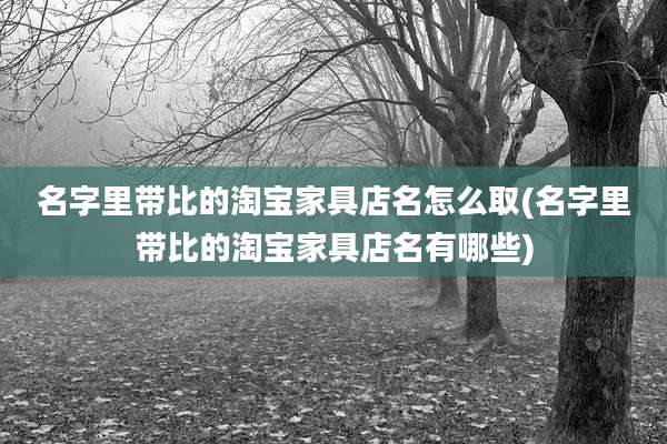 名字里带比的淘宝家具店名怎么取(名字里带比的淘宝家具店名有哪些)
