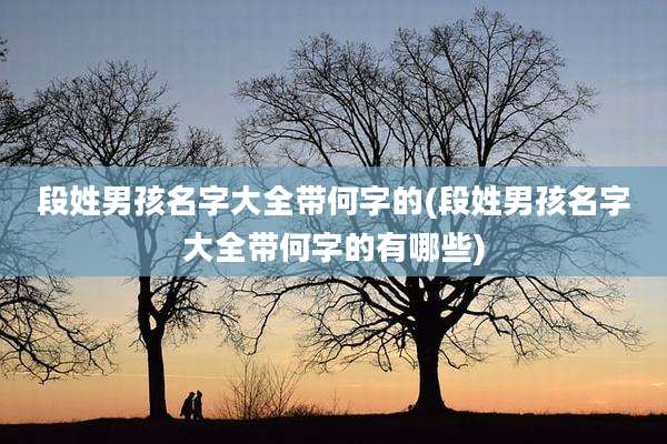 段姓男孩名字大全带何字的(段姓男孩名字大全带何字的有哪些)