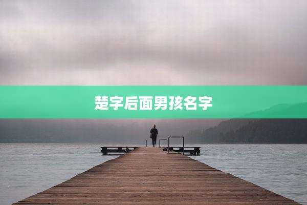 楚字后面男孩名字