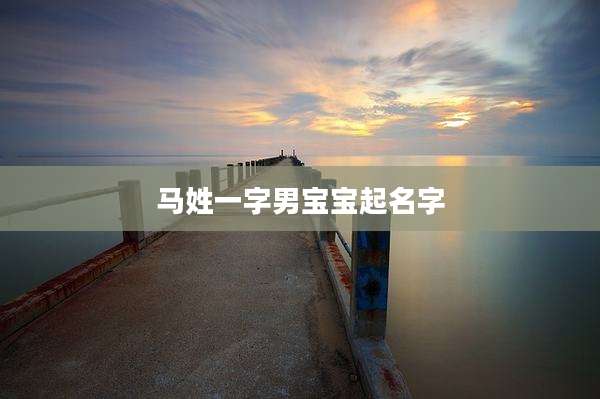 马姓一字男宝宝起名字