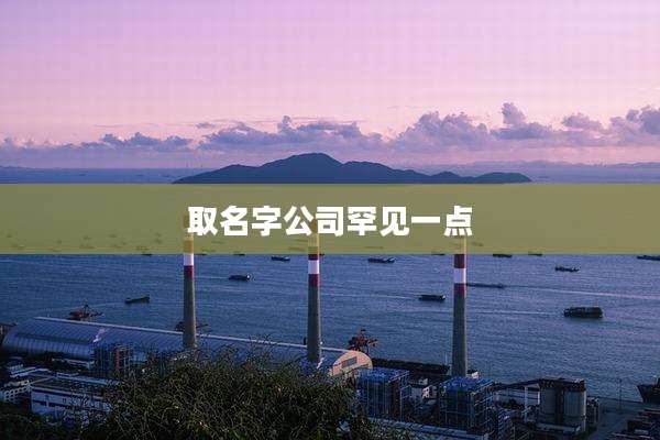 取名字公司罕见一点