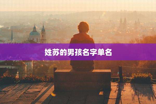姓苏的男孩名字单名