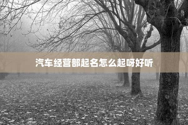 汽车经营部起名怎么起呀好听