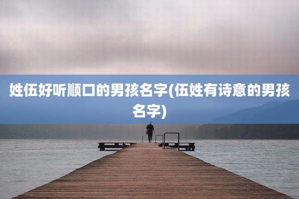 姓伍好听顺口的男孩名字(伍姓有诗意的男孩名字)
