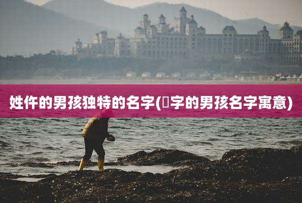 姓仵的男孩独特的名字(杺字的男孩名字寓意)