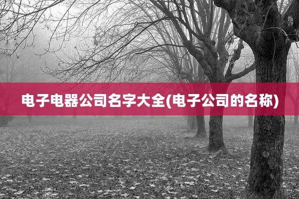 电子电器公司名字大全(电子公司的名称)