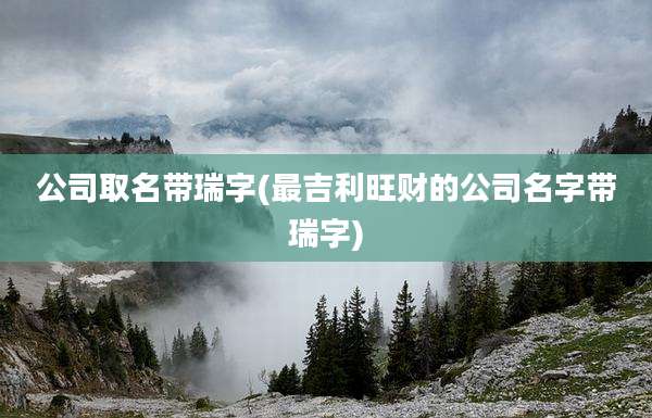 公司取名带瑞字(最吉利旺财的公司名字带瑞字)
