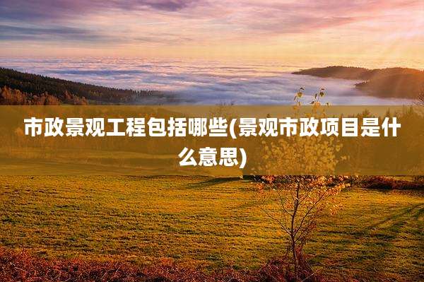 市政景观工程包括哪些(景观市政项目是什么意思)