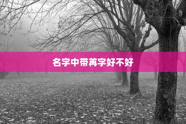 名字中带苒字好不好