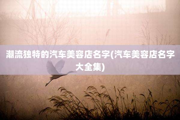 潮流独特的汽车美容店名字(汽车美容店名字大全集)