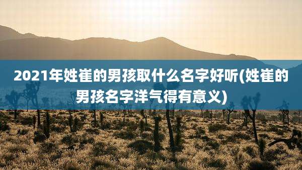 2021年姓崔的男孩取什么名字好听(姓崔的男孩名字洋气得有意义)